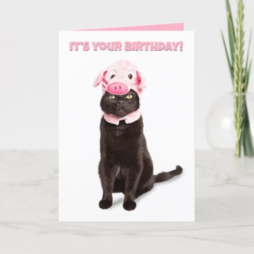 Happy Birthday For Anyone Funny Cat in Piggy Hat Holiday Card