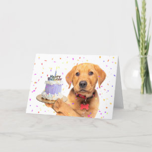 Happy Birthday For Anyone Puppy Holding Birthday Holiday Card