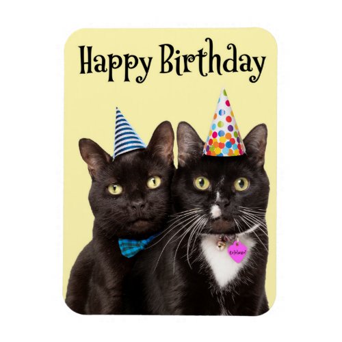 Happy Birthday For Anyone Two Cats in Party Hats Magnet