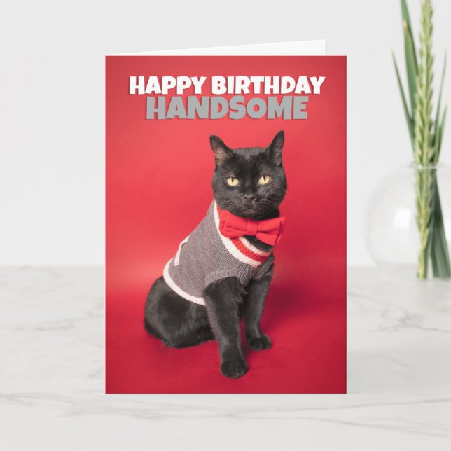 Happy Birthday For Him Cute Handsome Cat Humor Holiday Card (Front)