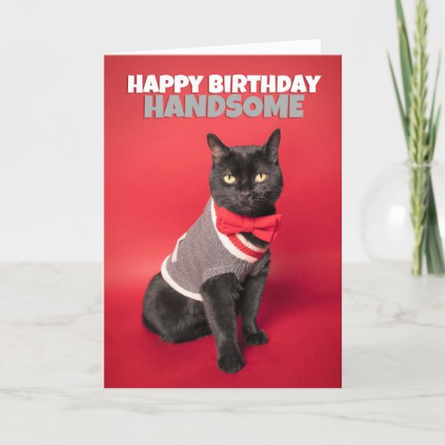 Happy Birthday For Him Cute Handsome Cat Humor Holiday Card