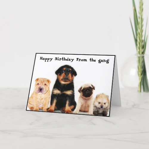 Happy birthday form the gang Puppies greeting card