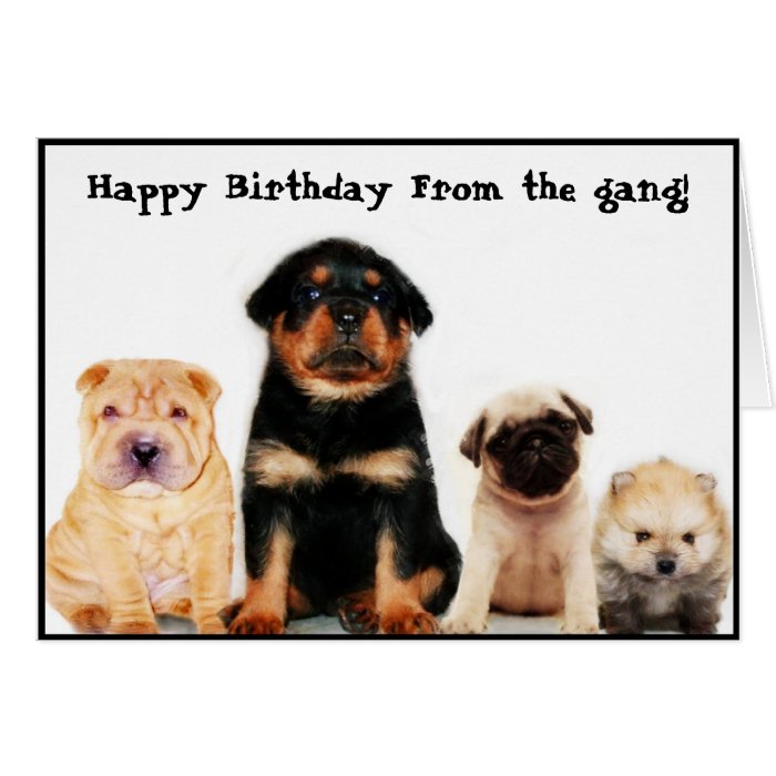 Happy birthday form the gang Puppies greeting card