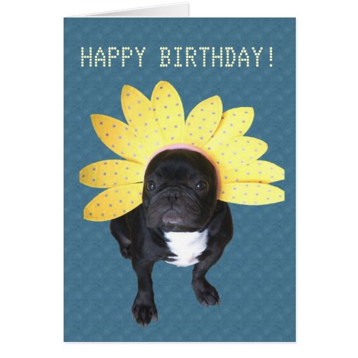 French birthday