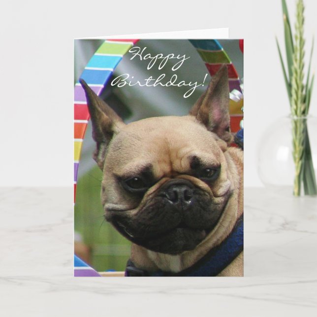 Happy Birthday French Bulldog greeting card (Front)
