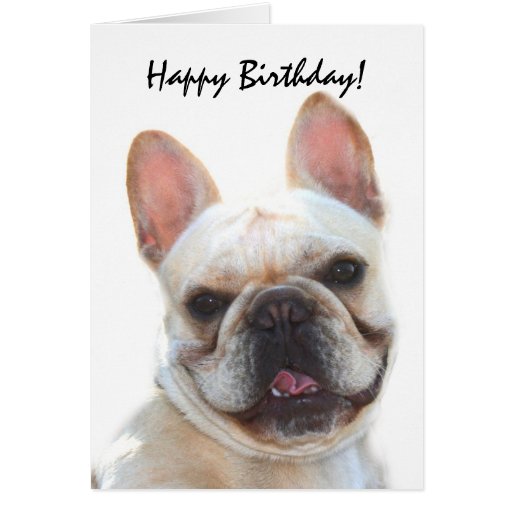 Happy Birthday French Bulldog greeting card | Zazzle