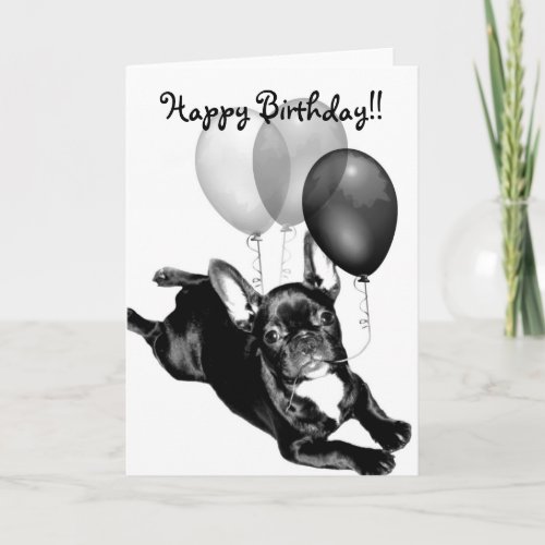 Happy Birthday French Bulldog greeting card