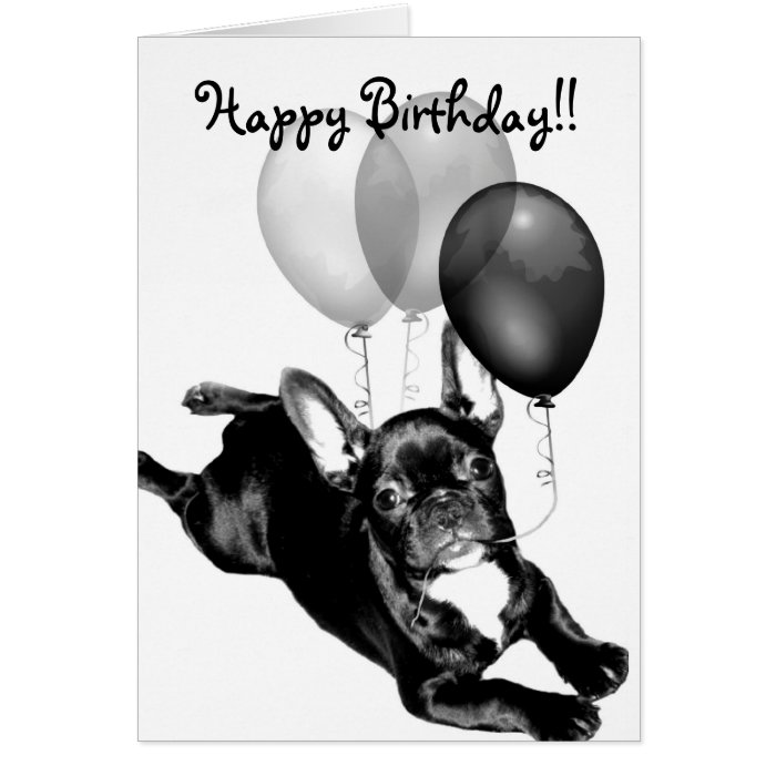 Happy Birthday French Bulldog greeting card