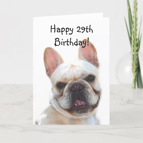 Happy Birthday French Bulldog Greeting Card
