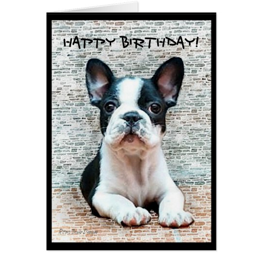 Happy Birthday French Bulldog greeting card | Zazzle.com