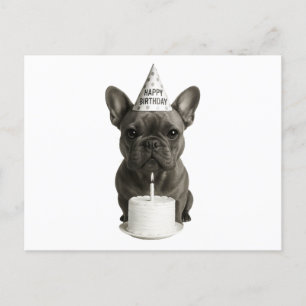 Happy Birthday French Bulldog Holiday Postcard
