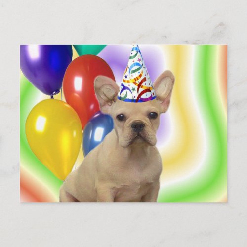 Happy Birthday French Bulldog postcard