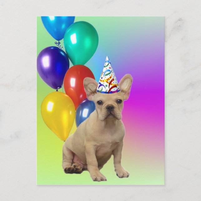 Happy Birthday French Bulldog postcard (Front)