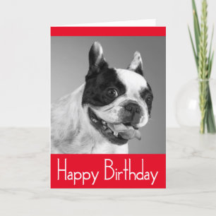 Happy Birthday French Bulldog Puppy Card - Verse