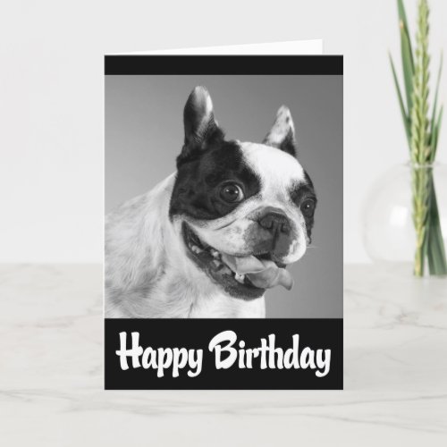 Happy Birthday French Bulldog Puppy Card _ Verse
