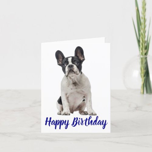 Happy Birthday French Bulldog Puppy Dog Frenchie Card