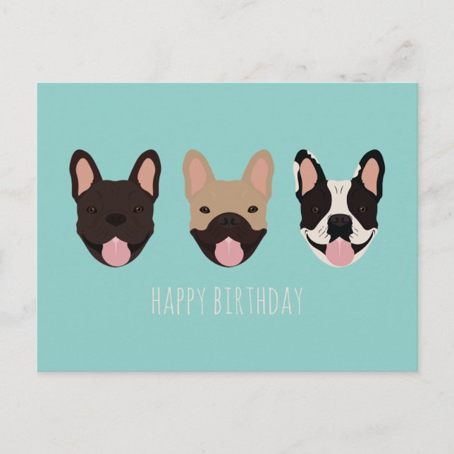 Happy Birthday French Bulldog Teal Postcard (Front)