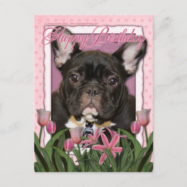 Happy Birthday - French Bulldog - Teal Postcard (Front)