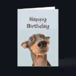 Happy Birthday Friend Funny Dog Grumpy Old Man Card<br><div class="desc">Happy Birthday Grumpy Old Man  cute traumatized looking dog</div>