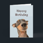Happy Birthday Friend Funny Dog Grumpy Old Man Card<br><div class="desc">Happy Birthday Grumpy Old Man  cute traumatized looking dog</div>