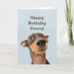 Happy Birthday Friend Funny Dog Humor Card<br><div class="desc">Happy Birthday Friend we've been through a lot together and most of it was your fault.  cute traumatized looking dog</div>