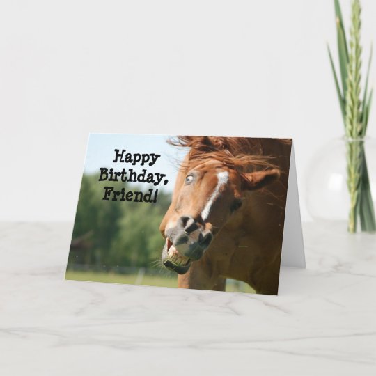 Happy Birthday Friend_Funny Horse Card | Zazzle.com