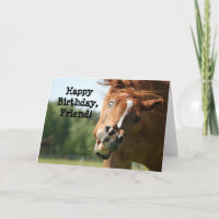 happy birthday funny horse