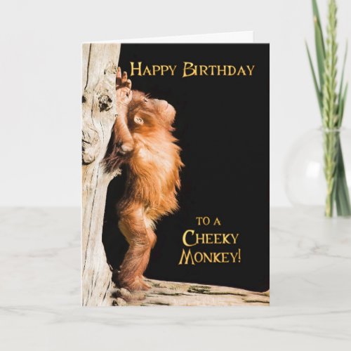 Happy birthday from a baby orang utan card