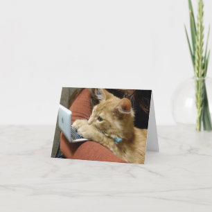 HAPPY BIRTHDAY FROM A **BUSY KITTY** CARD