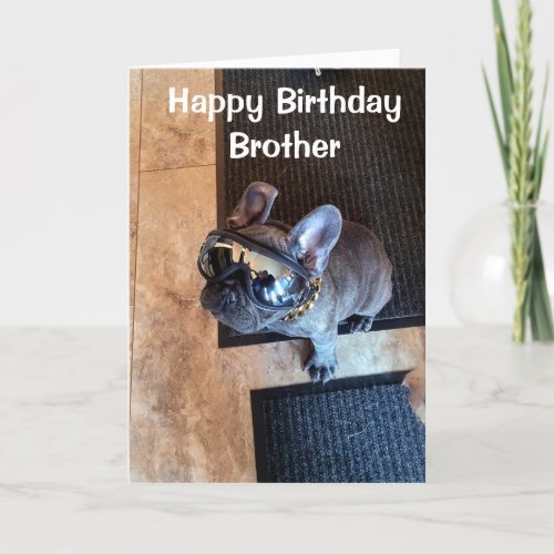 HAPPY BIRTHDAY FROM A COOL DOG BROTHER  CARD