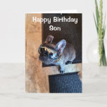 HAPPY BIRTHDAY FROM A COOL DOG "SON" CARD<br><div class="desc">LET ***A VERY SPECIAL SON*** KNOW (LIKE YOU PROBABLY ALWAYS DO) HOW MUCH HE MEANS TO YOU ON "HIS BIRTHDAY" THIS YEAR! AND,  THANK YOU SO MUCH FOR STOPPING BY ONE OF MY EIGHT STORES!!!!</div>