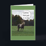HAPPY BIRTHDAY FROM A VERY SMART HORSE CARD<br><div class="desc">THIS HORSE LIVES UP THE STREET FROM ME... .CAN YOU TELL HE RECOGNIZED ME AS I DROVE BY THE OTHER DAY. HE TOLD ME TO USE HIM ON A "VERY SPECIAL CARD" FOR YOUR "VERY SPECIAL FRIEND OR FAMILY MEMBER'S BIRTHDAY" SO I DID!!!!!</div>