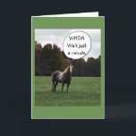 HAPPY BIRTHDAY FROM A VERY SMART HORSE CARD<br><div class="desc">THIS HORSE LIVES UP THE STREET FROM ME... .CAN YOU TELL HE RECOGNIZED ME AS I DROVE BY THE OTHER DAY. HE TOLD ME TO USE HIM ON A "VERY SPECIAL CARD" FOR YOUR "VERY SPECIAL FRIEND OR FAMILY MEMBER'S BIRTHDAY" SO I DID!!!!!</div>