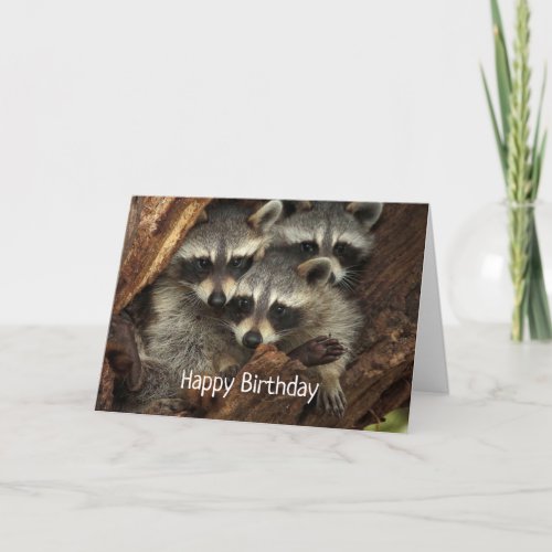 Happy Birthday from all of us Fun Raccoons Card