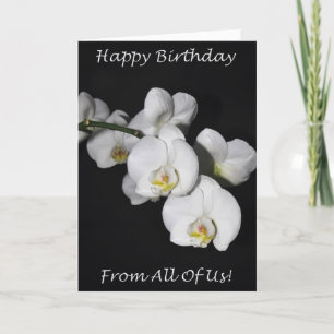 Happy Birthday From All Of Us White Orchid Card