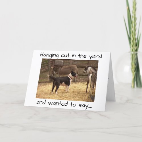 HAPPY BIRTHDAY FROM BARNYARD ANIMALS CARD