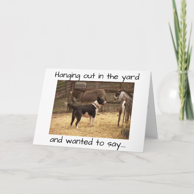 HAPPY BIRTHDAY FROM BARNYARD ANIMALS CARD (Front)