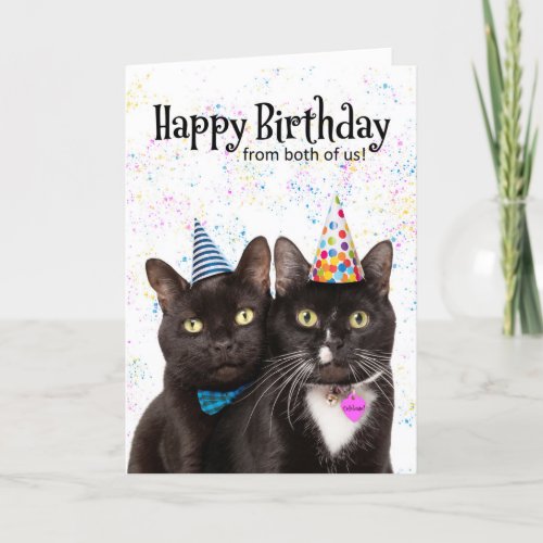 Happy Birthday From Both Cute Cats Humor Holiday Card