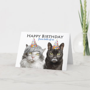 Happy Birthday From Both of Us Old Cats Humor Holiday Card