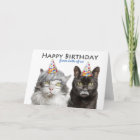 Happy Birthday From Both of Us Old Cats Humor