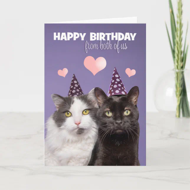 Happy Birthday From Both of Us Two Cute Cats Holiday Card | Zazzle