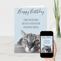 funny happy birthday cat