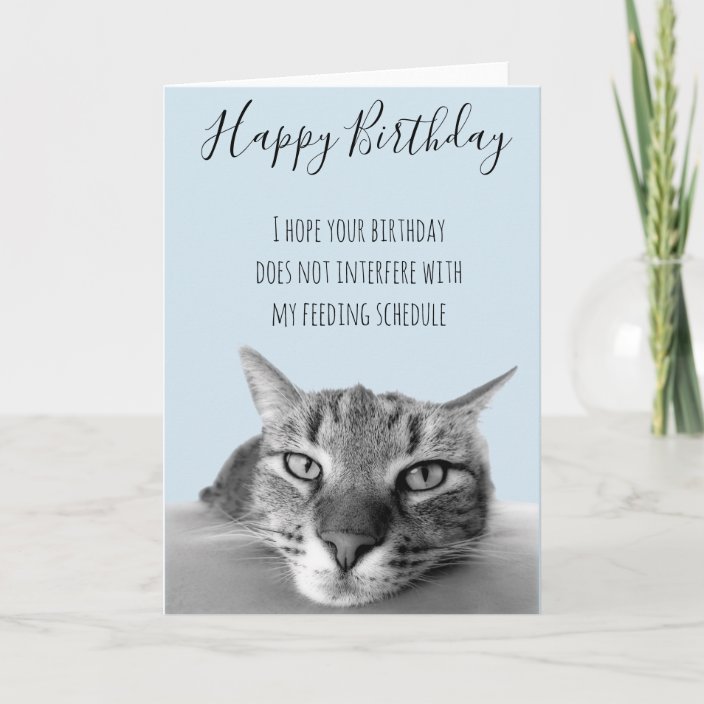 Happy Birthday From Cat Funny Humor Card | Zazzle.com