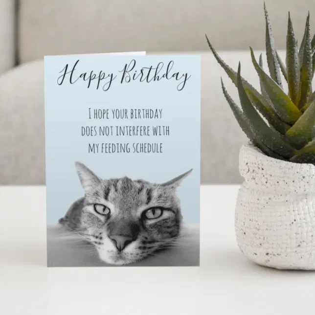 Happy Birthday From Cat Funny Humor Card 