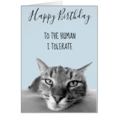 Happy Birthday From Cat To Human I Tolerate Funny (Front)