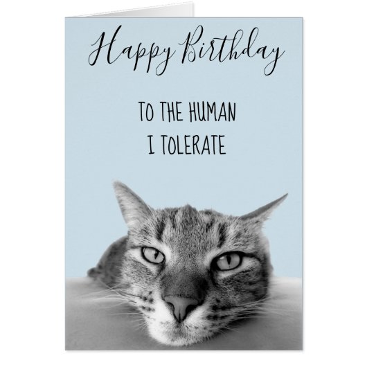 Happy Birthday From Cat To Human I Tolerate Funny (Front)