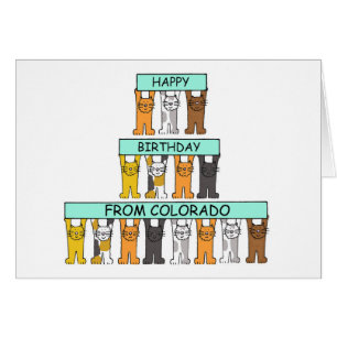 Happy Birthday from Colorado Cartoon Cats Cards