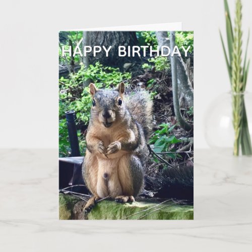 Happy Birthday from Deez Nuts Funny Squirrel Photo Card