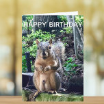 Happy Birthday from Deez Nuts Funny Squirrel Photo Card<br><div class="desc">Happy Birthday from DEEZ NUTS! A hilarious squirrel play on words joke about his nuts. Crude humor on an adult's birthday card. Make your friends laugh with this pop culture quote.</div>
