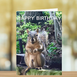 Happy Birthday from Deez Nuts Funny Squirrel Photo Card